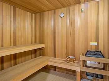Dry hot saunas